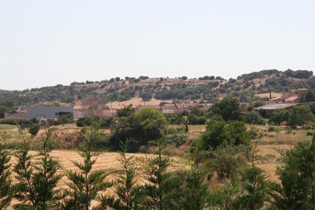 PELEAGONZALO